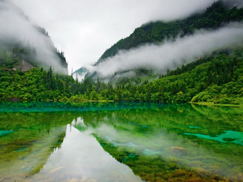 有深意古诗，句句饱含人生智慧(85句)