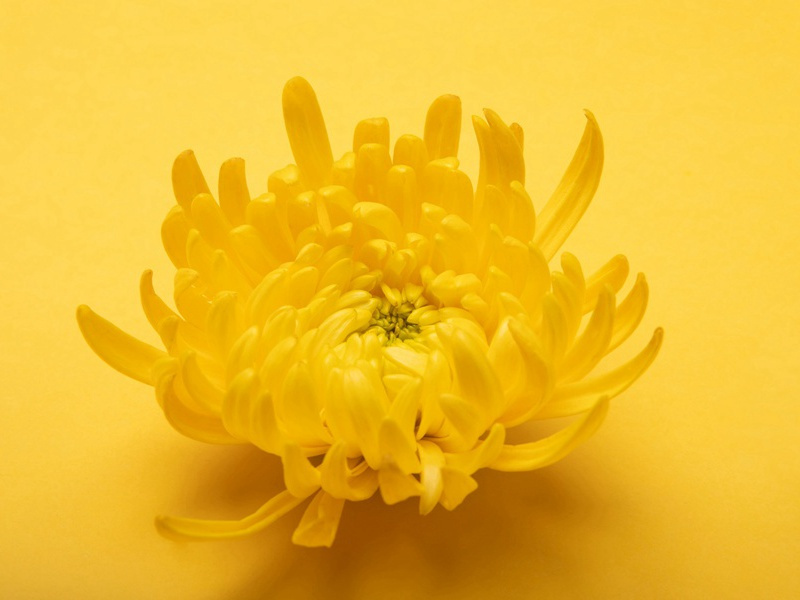 时势造句,时势怎么造句子(112句)