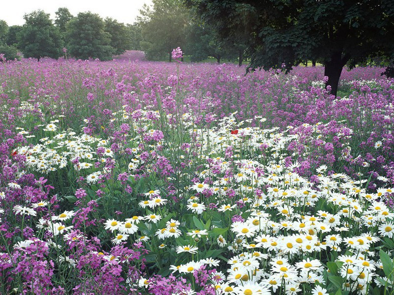 雨水节气祝福语简短(119句)