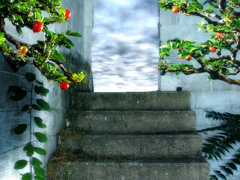 大街小巷造句,用大街小巷怎么造句子(298句)