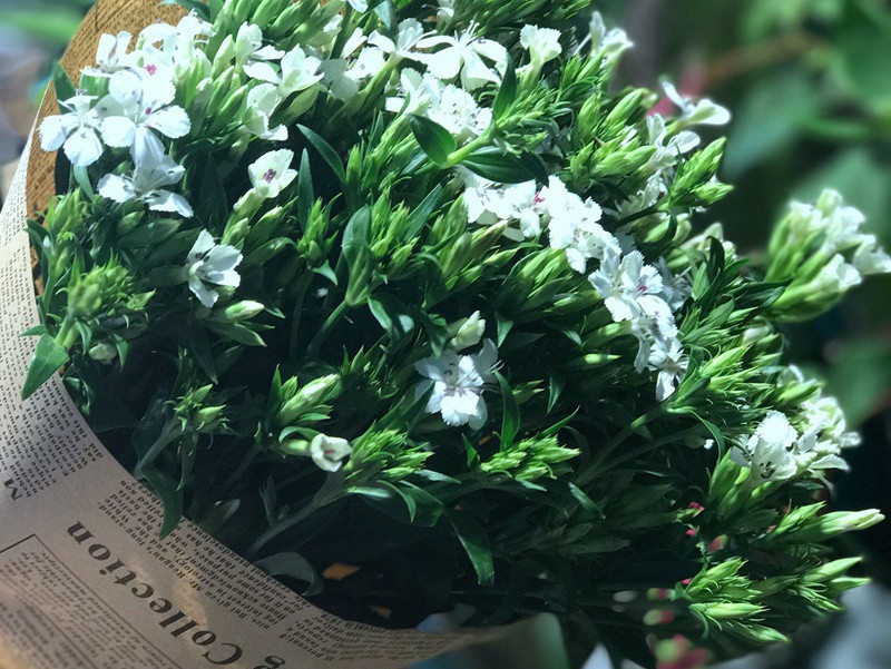 特快造句,用特快怎么造句子(80句)