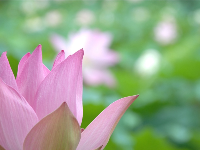 百日宴祝福语 简洁(126句)