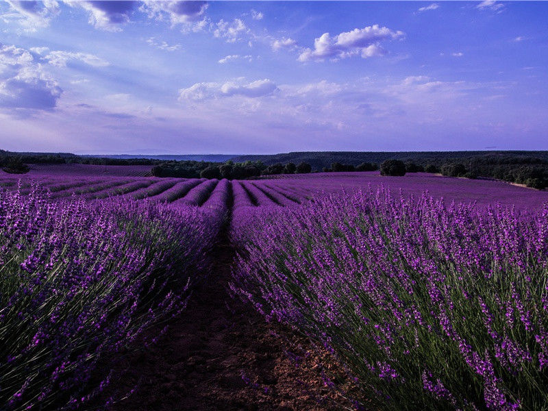 女神节写给自己的说说(106句)