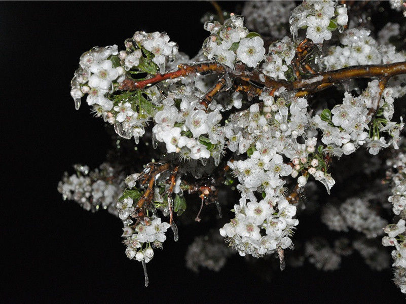 女神节唯美句子说说(213句)