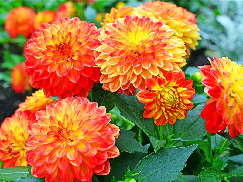 太多太造句,用太多太怎么造句子(47句)