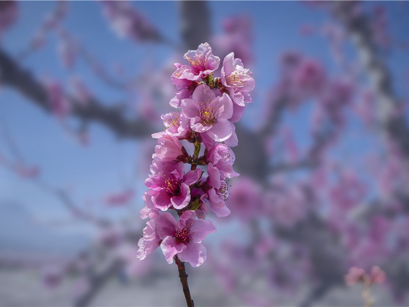 重阳节最佳祝福语100字(234句)