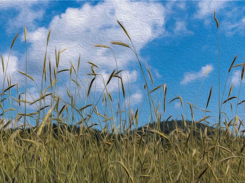 cumulate造句,用cumulate怎么造句子(19句)