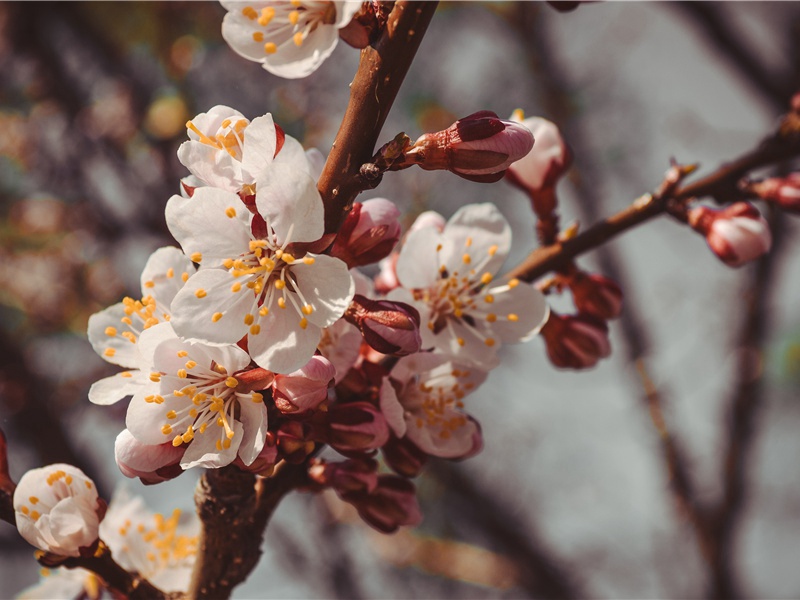 元宵节快乐祝福语简短一句话(418句)