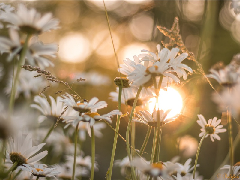 教师节快乐祝福语老师(270句)