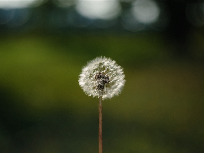 儿童节说说祝福语短句朋友圈怎么发(38句)