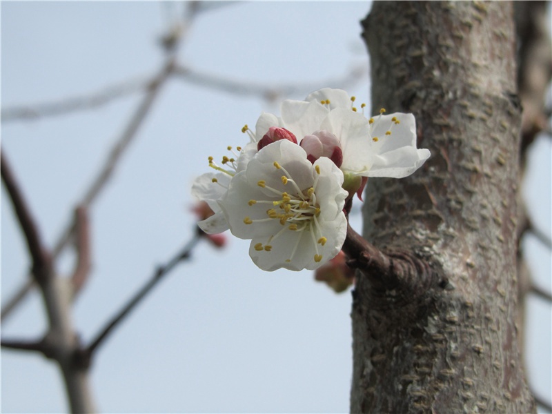 中学生座右铭励志(122句)