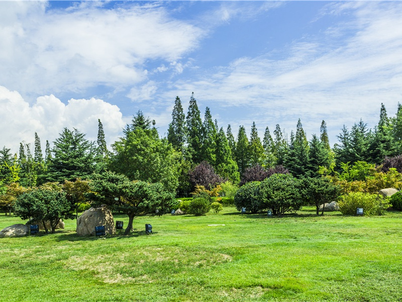 最心碎伤心的句子大全(15句)