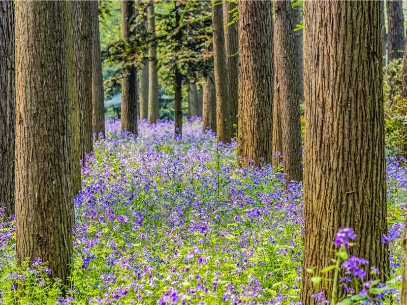 描写内心伤心的句子(118句)