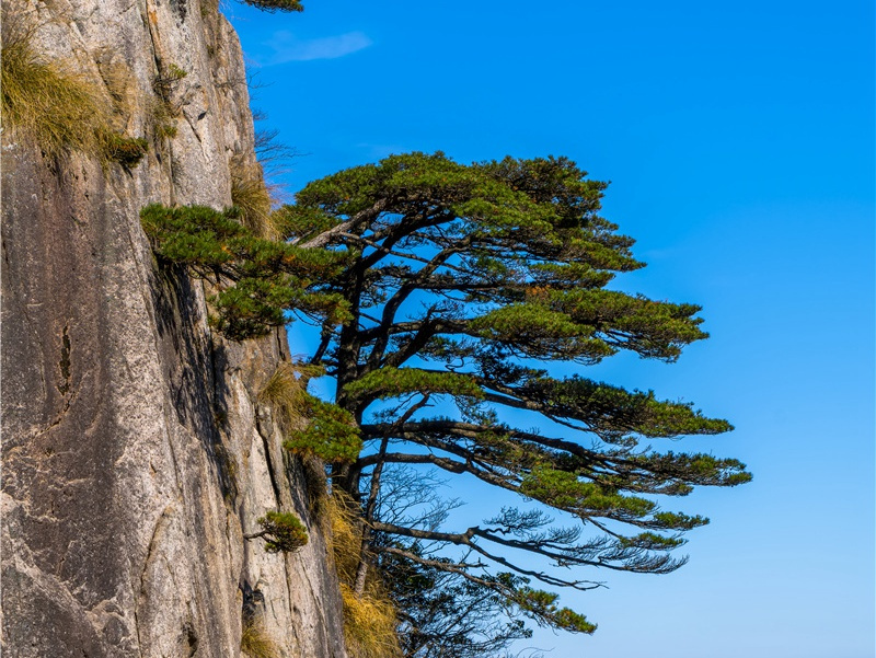 我们回不到从前了句子(30句)