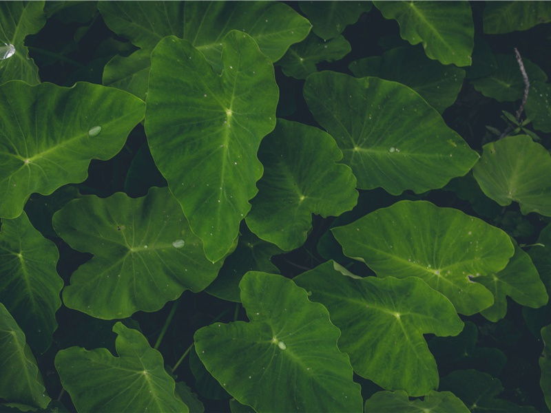 心碎堕落的句子(15句)