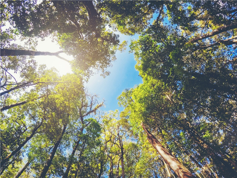 一座城一个人一生心疼的唯美句子(45句)